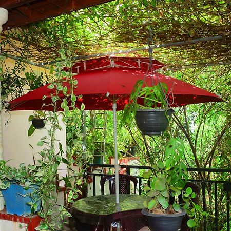 Tissa Rainbow Guest & Yala Hotel Tissamaharama Kültér fotó