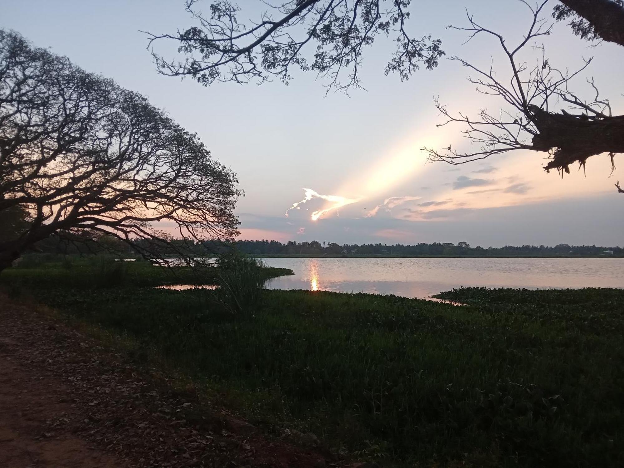 Tissa Rainbow Guest & Yala Hotel Tissamaharama Kültér fotó