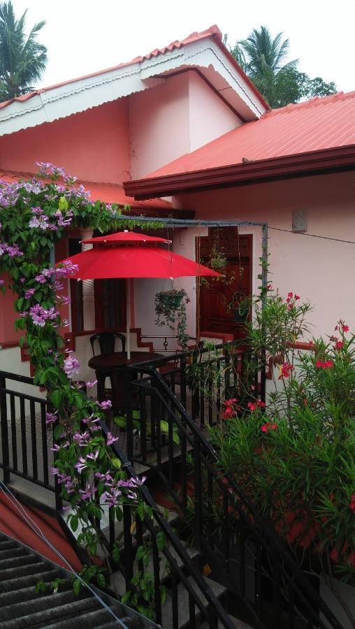 Tissa Rainbow Guest & Yala Hotel Tissamaharama Kültér fotó